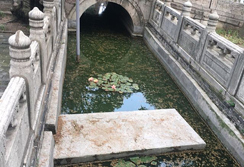 孔林第 32 张图片