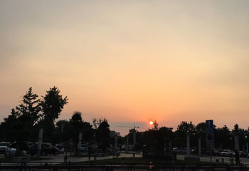 孔林第 30 张图片