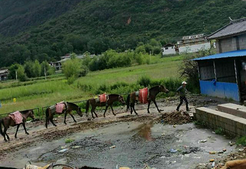 普洱茶马古道遗址公园第 71 张图片