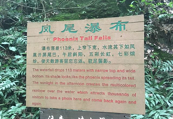 青龙瀑布第 5 张图片