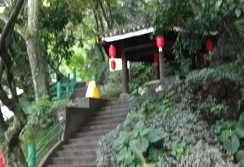 山水园第 20 张图片