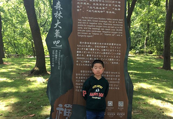 狼巷迷谷第 26 张图片