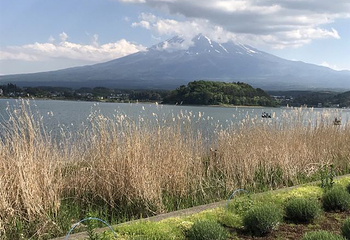 富士山第 151 张图片