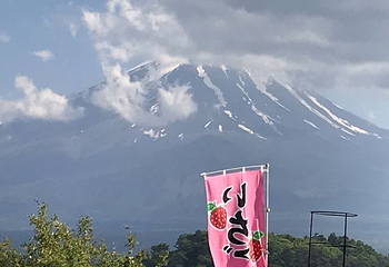 富士山第 149 张图片