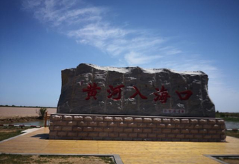 黄河口生态旅游区第 150 张图片