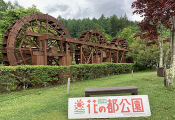 塔里木河与塔克拉玛干第 11 张图片