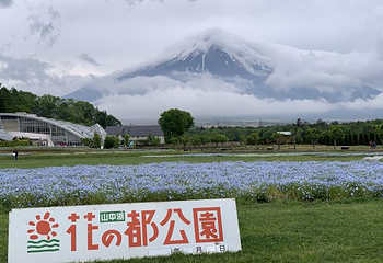 塔里木河与塔克拉玛干第 8 张图片