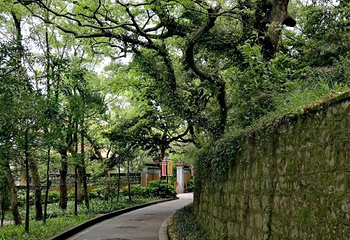 东湖公园第 16 张图片