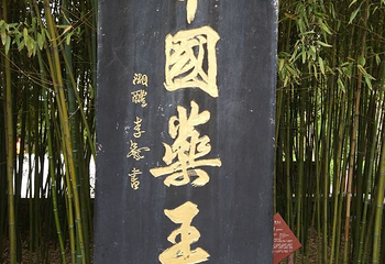药王山第 32 张图片