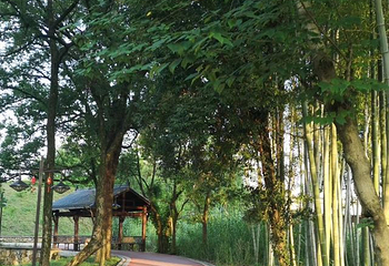 洪岩仙境·地下瓷世界第 43 张图片