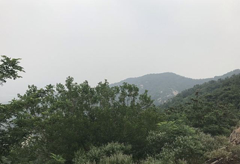 鹤伴山旅游景区第 30 张图片