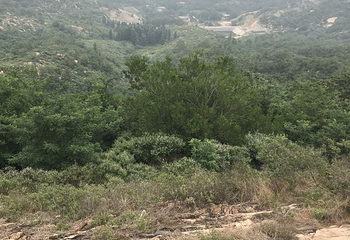 鹤伴山旅游景区第 29 张图片