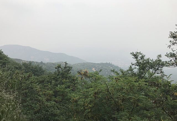 鹤伴山旅游景区第 23 张图片