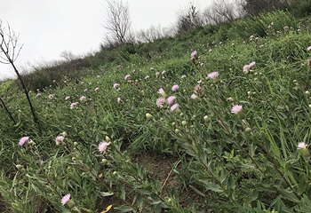 鹤伴山旅游景区第 21 张图片