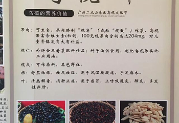 星罗纪大森林景区(广州二龙山花园)第 17 张图片