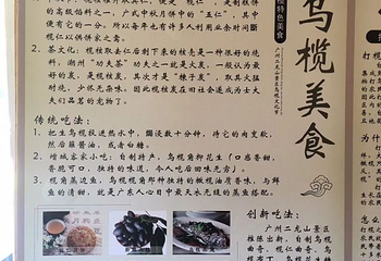 星罗纪大森林景区(广州二龙山花园)第 12 张图片