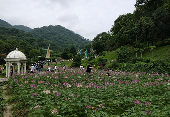 星罗纪大森林景区(广州二龙山花园)第 14 张图片