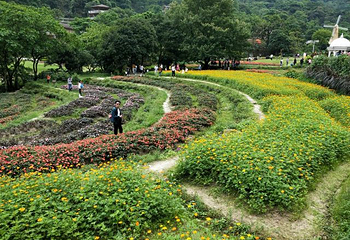 星罗纪大森林景区(广州二龙山花园)第 13 张图片