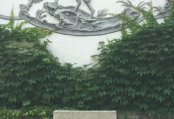 启园第 44 张图片