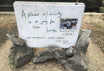 启园第 43 张图片