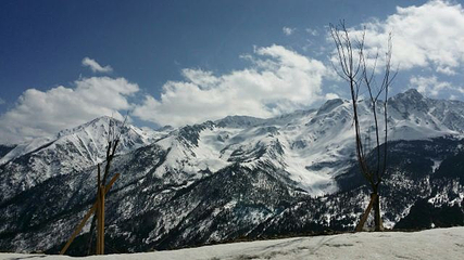 白马雪山第 21 张图片