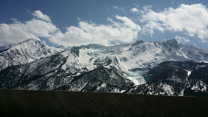 白马雪山第 17 张图片