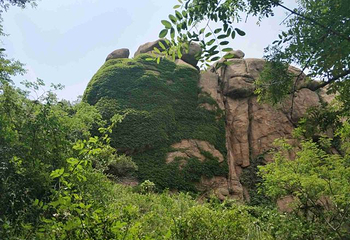 大珠山风景区第 26 张图片
