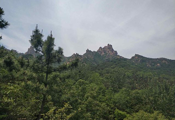 大珠山风景区第 24 张图片