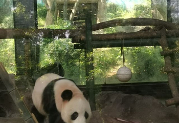 温州动物园第 33 张图片