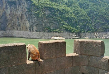 瞿塘峡第 28 张图片
