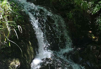 山沟沟景区第 39 张图片