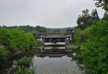 南山第 50 张图片