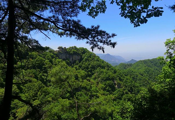 祥峪森林公园第 47 张图片