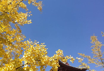 浮来山风景区第 28 张图片