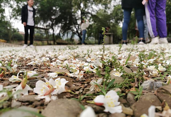 西溪磐石大峡谷第 18 张图片