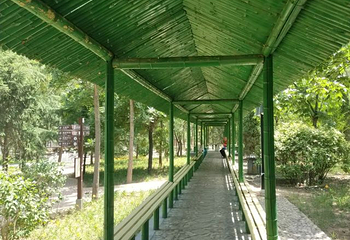 满城汉墓第 41 张图片