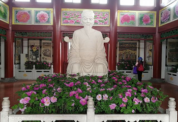 国家牡丹园第 48 张图片