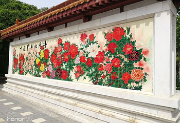 国家牡丹园第 47 张图片