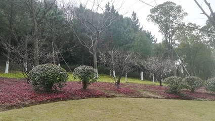 庐山石门涧风景区第 16 张图片