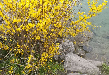 庐山石门涧风景区第 15 张图片