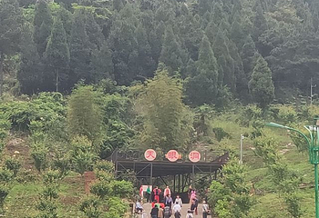 天眼洞花岭风景区第 44 张图片