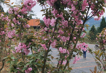 天眼洞花岭风景区第 39 张图片