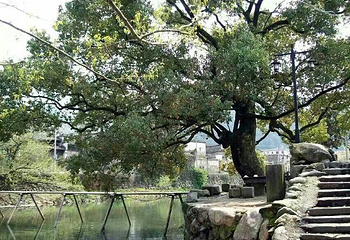 理坑村第 15 张图片