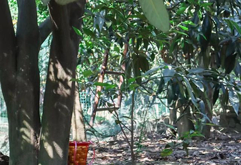 明月湾古村第 30 张图片
