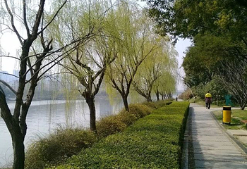 盘门景区-瑞光塔第 3 张图片