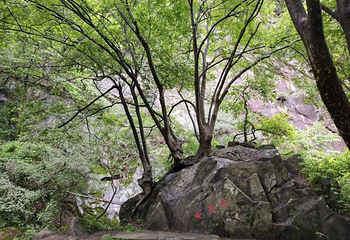九龙潭风景区第 7 张图片