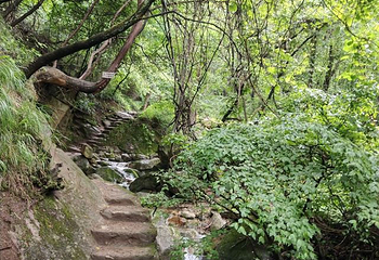 九龙潭风景区第 6 张图片