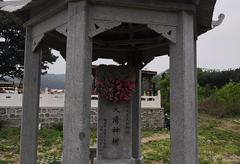 红带沟大清神树第 21 张图片