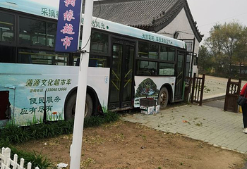 红带沟大清神树第 10 张图片