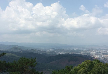 普洱茶马古道遗址公园第 67 张图片